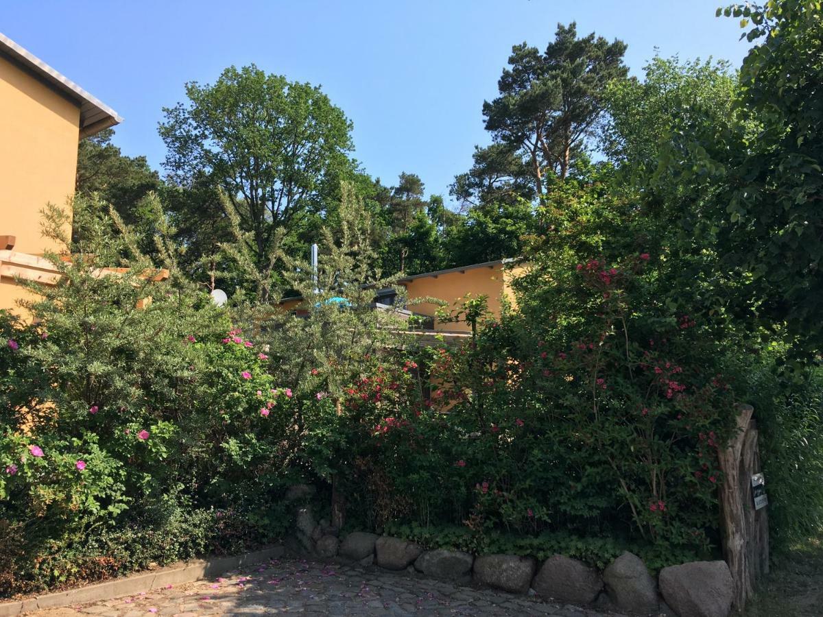 Fewo Am Strand In Koserow - Casa Del Mar - 42M Bis Zum Strand Exterior photo